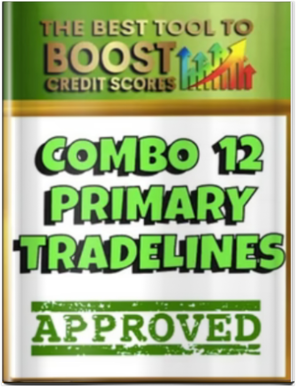 (COMBO 12) REAL CREDIT ACCOUNT PRIMARY TRADE-LINES