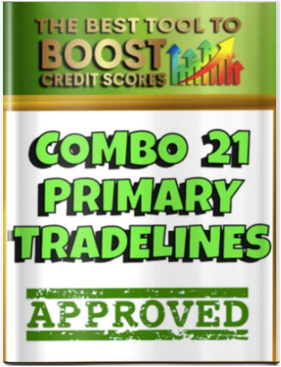 (COMBO 21) 11 MODERN PRIMARY REPORTING PRIMARY TRADELINES