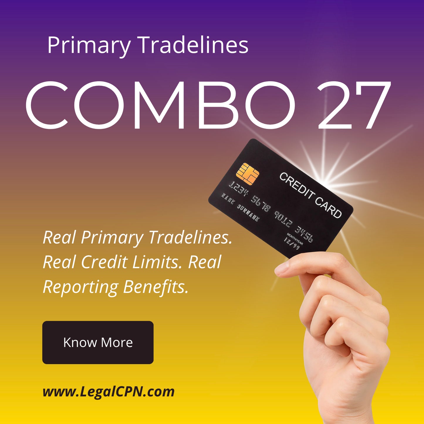PRIMARY TRADELINE COMBO 27