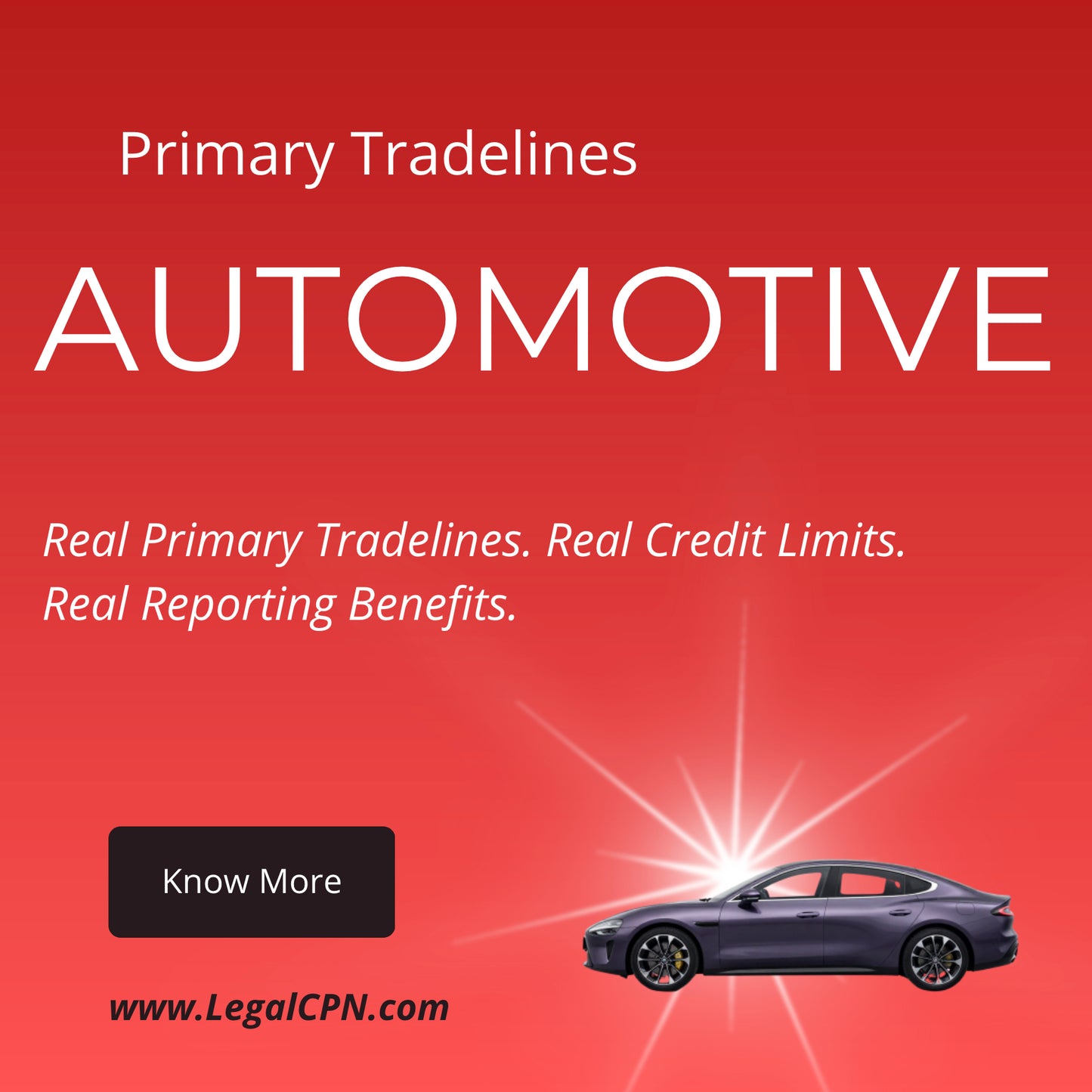(CMAUTO)  AUTOMOBILE REPORTING; PRIMARY TRADELINES