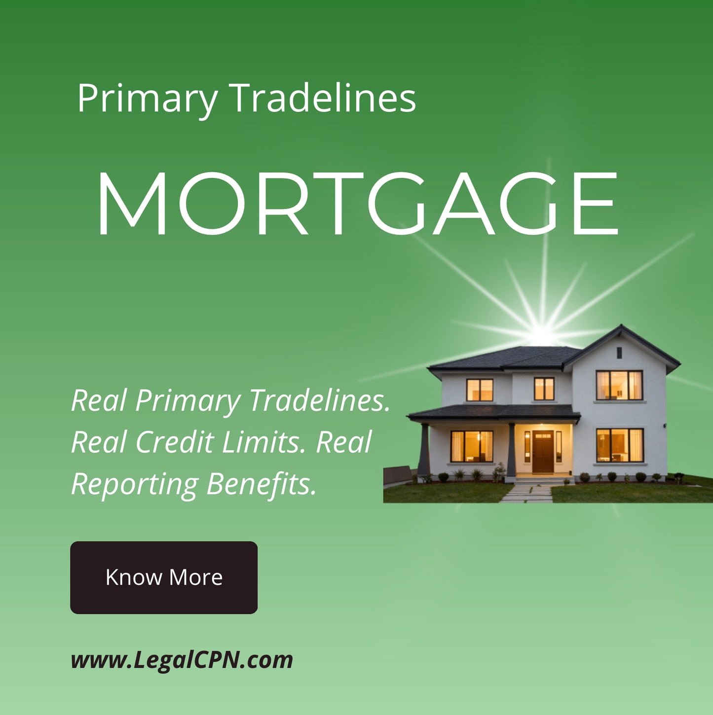 (COMBO 15)  22 REAL MORTGAGE REPORTING PRIMARY TRADELINES / NEW REVISION