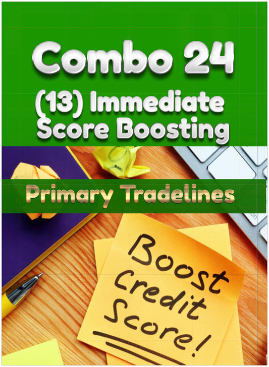 (COMBO 24)  REAL CREDIT ACCOUNT PRIMARY TRADE-LINES