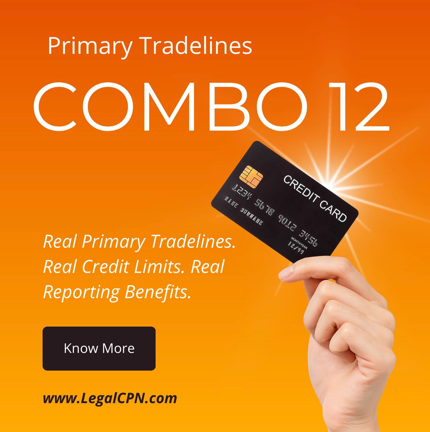(COMBO 12)  REAL CREDIT ACCOUNT PRIMARY TRADE-LINES