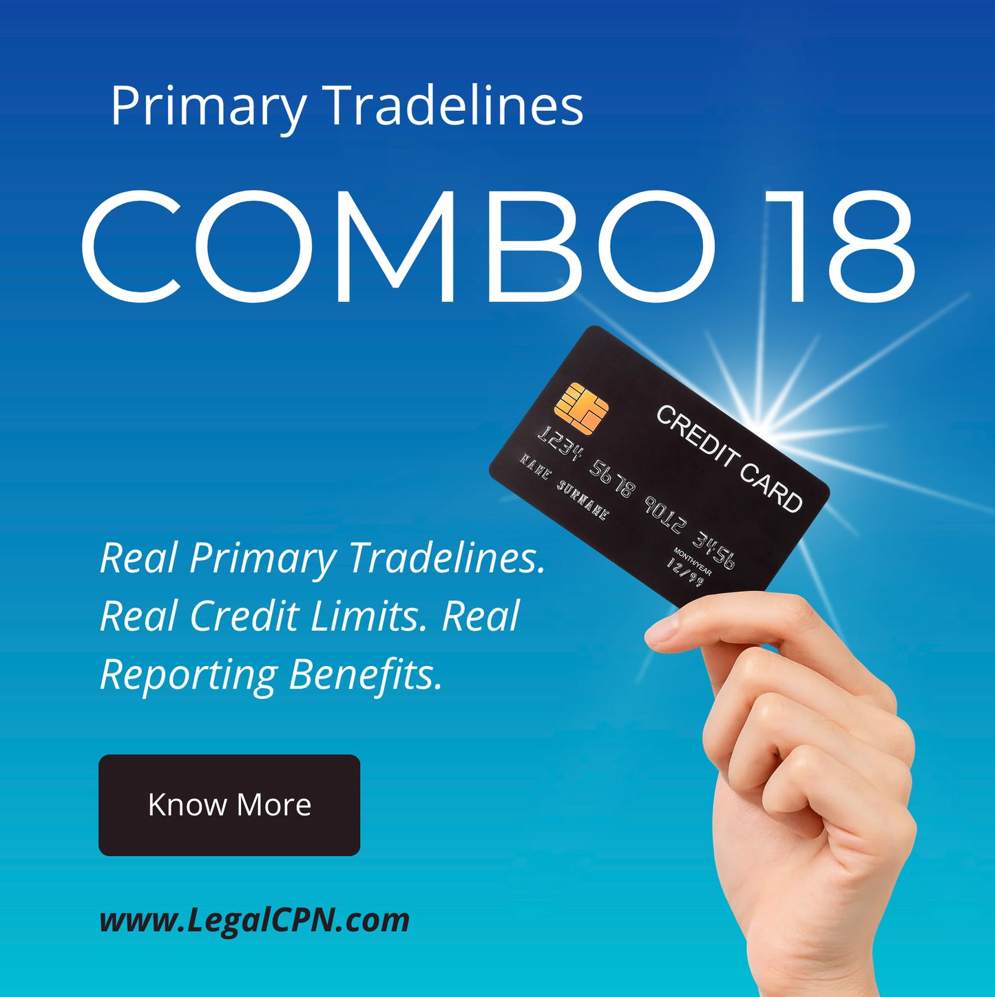 (COMBO 18)  REAL CREDIT ACCOUNT PRIMARY TRADE-LINES