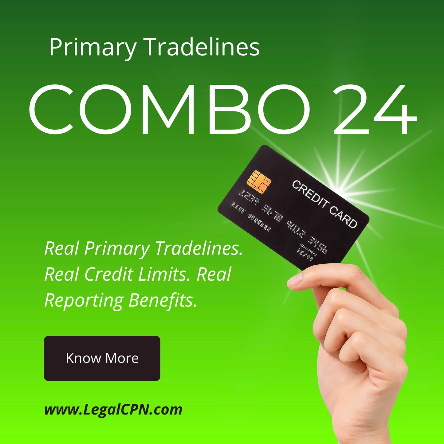 (COMBO 24)  REAL CREDIT ACCOUNT PRIMARY TRADE-LINES